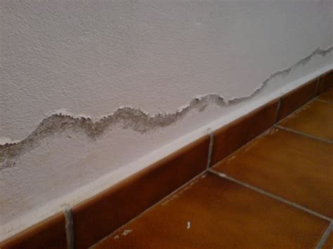 ¿Cuál es el origen de las trazas de humedad en una pared?